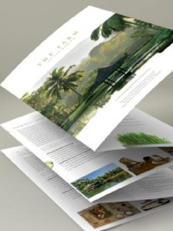 Brochure Download